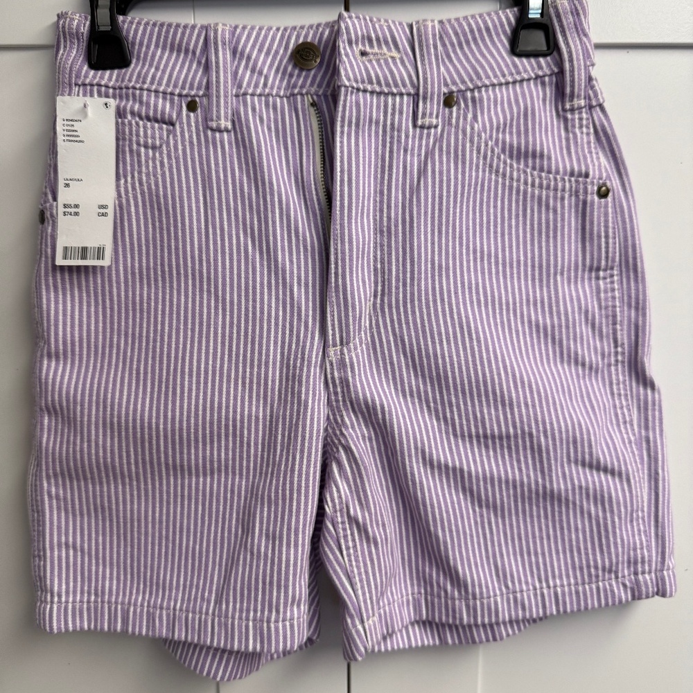NWT Urban Outfitters Dickies Lilac Hickory Stripe Carpenter Shorts Size 26